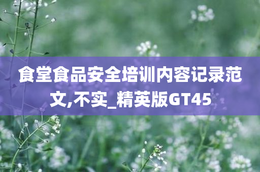 食堂食品安全培训内容记录范文,不实_精英版GT45