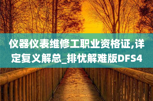 仪器仪表维修工职业资格证,详定复义解总_排忧解难版DFS4