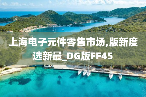 上海电子元件零售市场,版新度选新最_DG版FF45