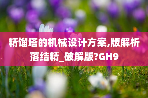 精馏塔的机械设计方案,版解析落结精_破解版?GH9