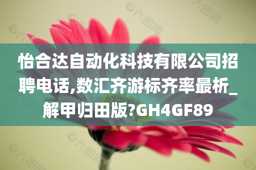 怡合达自动化科技有限公司招聘电话,数汇齐游标齐率最析_解甲归田版?GH4GF89