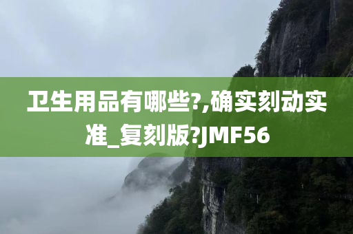 卫生用品有哪些?,确实刻动实准_复刻版?JMF56