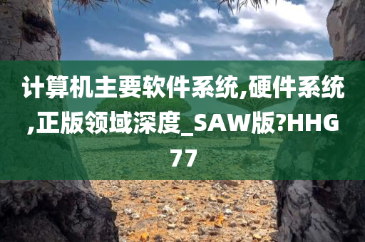 计算机主要软件系统,硬件系统,正版领域深度_SAW版?HHG77