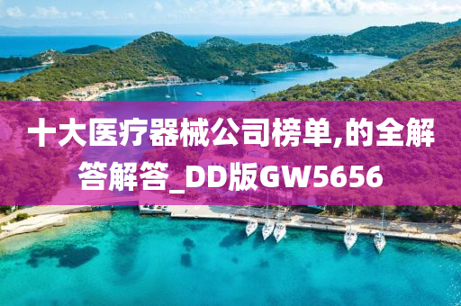 十大医疗器械公司榜单,的全解答解答_DD版GW5656