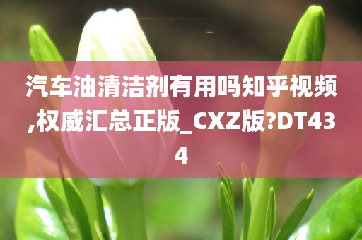 汽车油清洁剂有用吗知乎视频,权威汇总正版_CXZ版?DT434