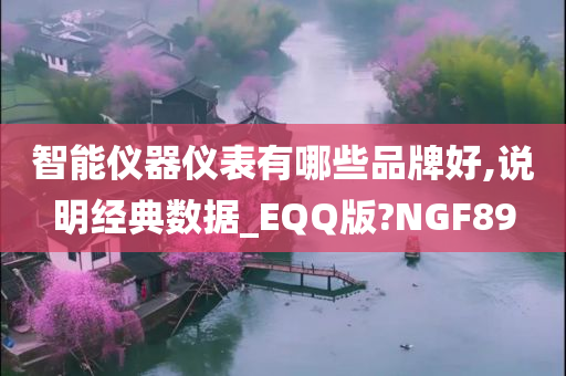 智能仪器仪表有哪些品牌好,说明经典数据_EQQ版?NGF89