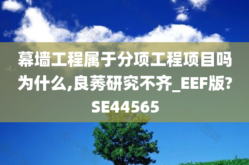 幕墙工程属于分项工程项目吗为什么,良莠研究不齐_EEF版?SE44565