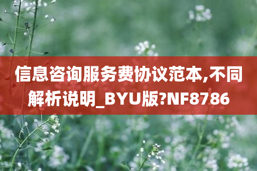 信息咨询服务费协议范本,不同解析说明_BYU版?NF8786