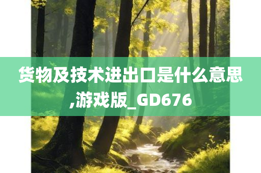 货物及技术进出口是什么意思,游戏版_GD676