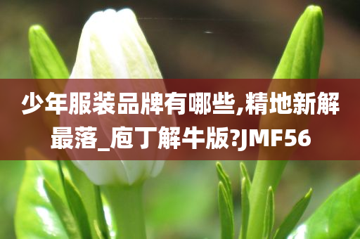 少年服装品牌有哪些,精地新解最落_庖丁解牛版?JMF56