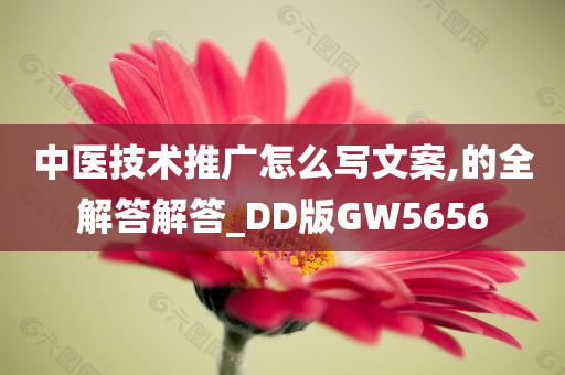 中医技术推广怎么写文案,的全解答解答_DD版GW5656