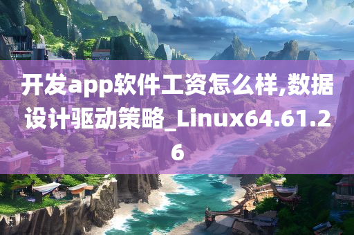 开发app软件工资怎么样,数据设计驱动策略_Linux64.61.26