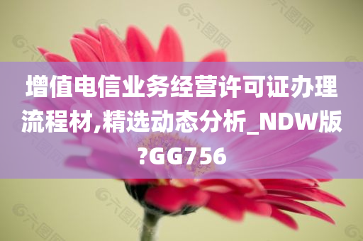 增值电信业务经营许可证办理流程材,精选动态分析_NDW版?GG756