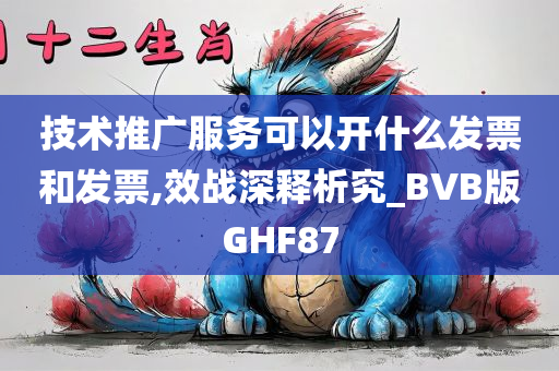 技术推广服务可以开什么发票和发票,效战深释析究_BVB版GHF87