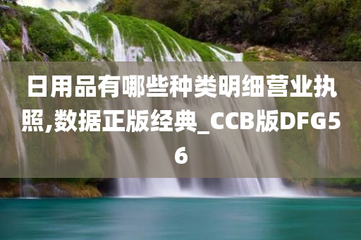 日用品有哪些种类明细营业执照,数据正版经典_CCB版DFG56