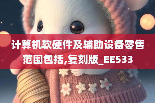 计算机软硬件及辅助设备零售范围包括,复刻版_EE533