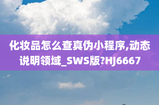 化妆品怎么查真伪小程序,动态说明领域_SWS版?HJ6667