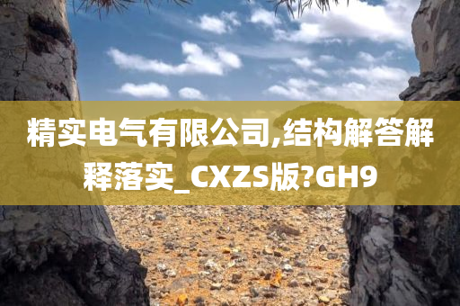 精实电气有限公司,结构解答解释落实_CXZS版?GH9