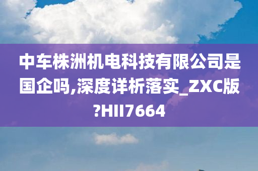 中车株洲机电科技有限公司是国企吗,深度详析落实_ZXC版?HII7664