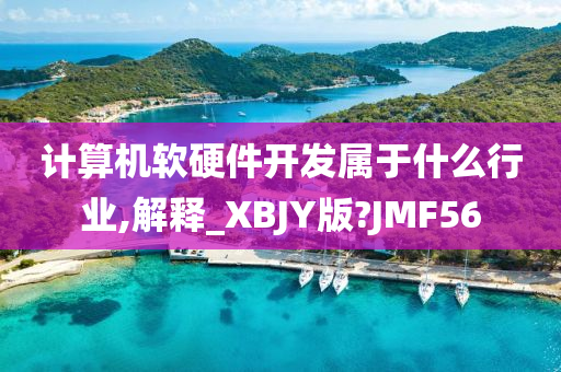 计算机软硬件开发属于什么行业,解释_XBJY版?JMF56