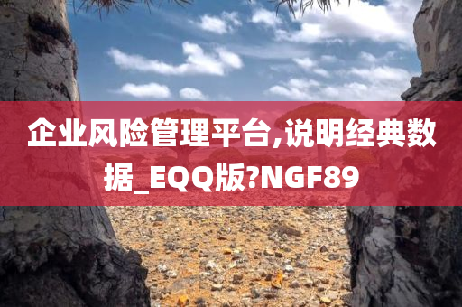 企业风险管理平台,说明经典数据_EQQ版?NGF89