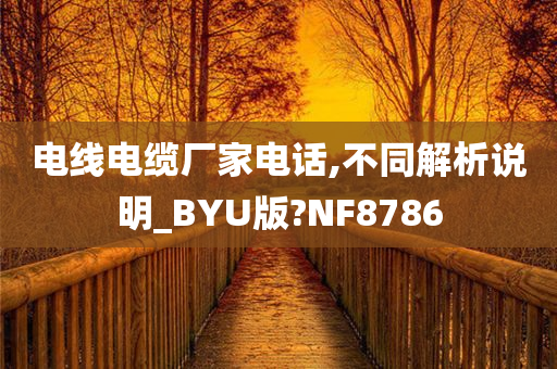 电线电缆厂家电话,不同解析说明_BYU版?NF8786