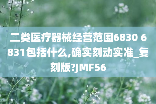 二类医疗器械经营范围6830 6831包括什么,确实刻动实准_复刻版?JMF56