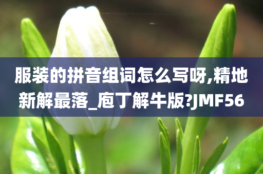 服装的拼音组词怎么写呀,精地新解最落_庖丁解牛版?JMF56