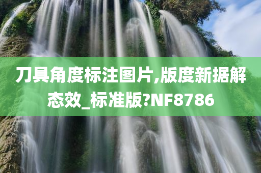 刀具角度标注图片,版度新据解态效_标准版?NF8786