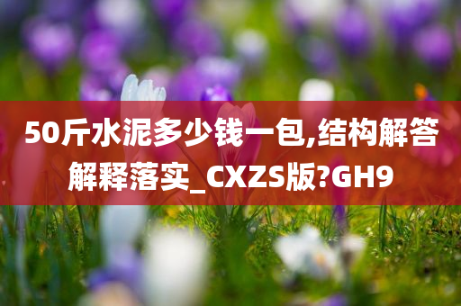 50斤水泥多少钱一包,结构解答解释落实_CXZS版?GH9