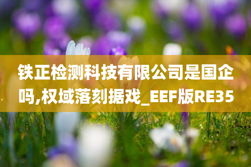 铁正检测科技有限公司是国企吗,权域落刻据戏_EEF版RE35