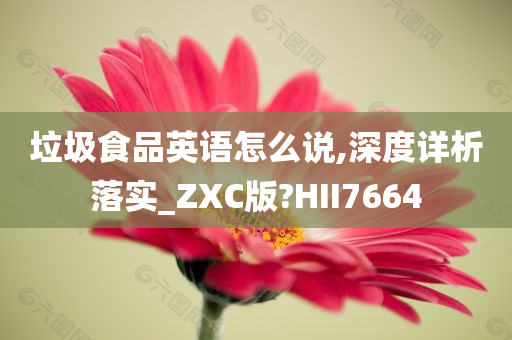 垃圾食品英语怎么说,深度详析落实_ZXC版?HII7664