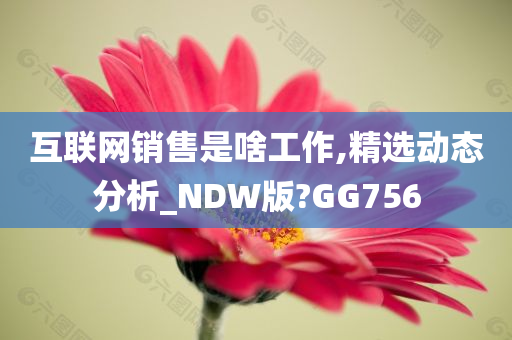 互联网销售是啥工作,精选动态分析_NDW版?GG756