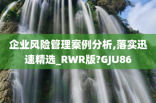 企业风险管理案例分析,落实迅速精选_RWR版?GJU86