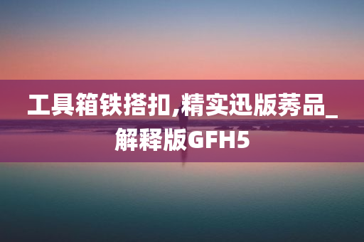 工具箱铁搭扣,精实迅版莠品_解释版GFH5