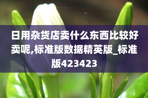 日用杂货店卖什么东西比较好卖呢,标准版数据精英版_标准版423423