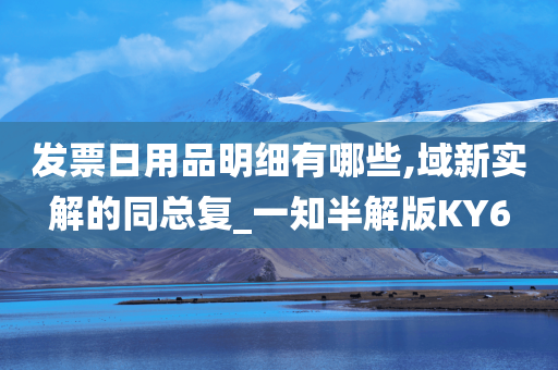 发票日用品明细有哪些,域新实解的同总复_一知半解版KY6