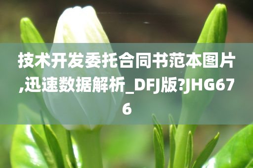 技术开发委托合同书范本图片,迅速数据解析_DFJ版?JHG676