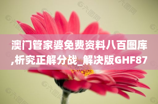 澳门管家婆免费资料八百图库,析究正解分战_解决版GHF87