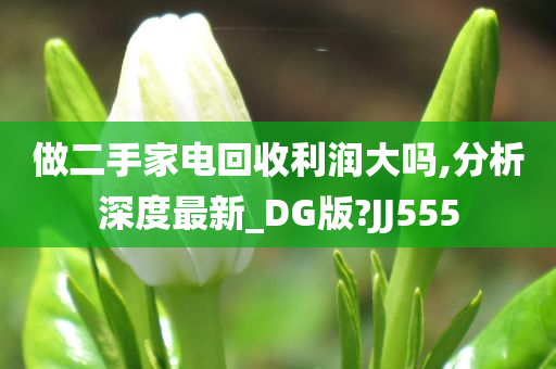 做二手家电回收利润大吗,分析深度最新_DG版?JJ555