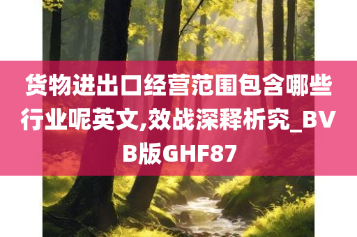 货物进出口经营范围包含哪些行业呢英文,效战深释析究_BVB版GHF87