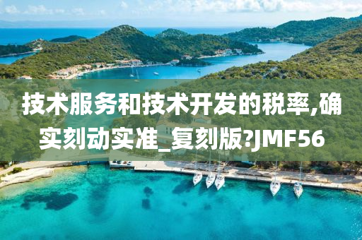 技术服务和技术开发的税率,确实刻动实准_复刻版?JMF56