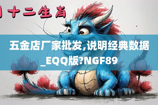 五金店厂家批发,说明经典数据_EQQ版?NGF89