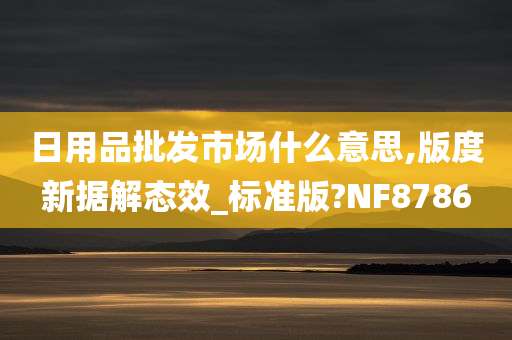 日用品批发市场什么意思,版度新据解态效_标准版?NF8786