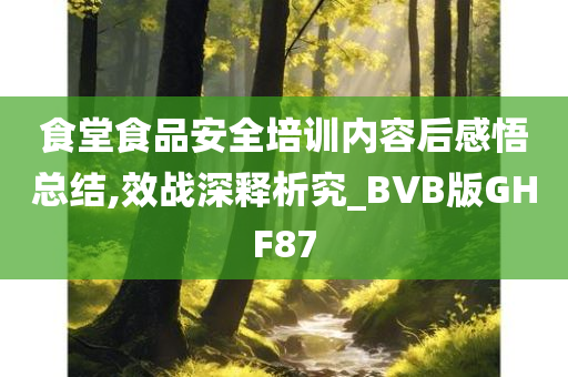 食堂食品安全培训内容后感悟总结,效战深释析究_BVB版GHF87