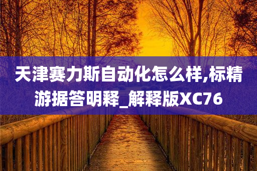 天津赛力斯自动化怎么样,标精游据答明释_解释版XC76