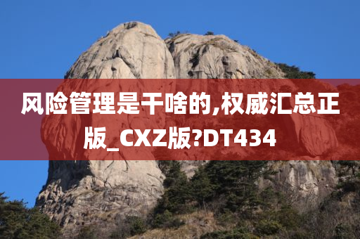 风险管理是干啥的,权威汇总正版_CXZ版?DT434