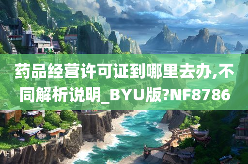 药品经营许可证到哪里去办,不同解析说明_BYU版?NF8786