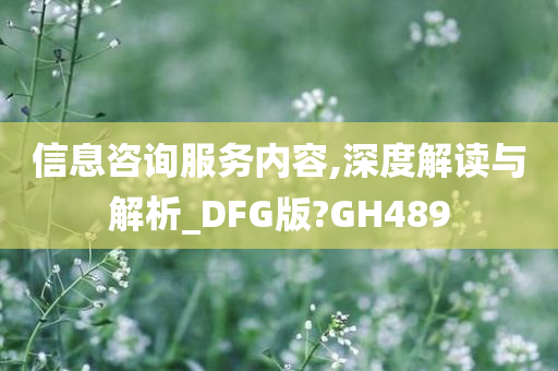 信息咨询服务内容,深度解读与解析_DFG版?GH489