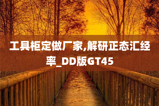 工具柜定做厂家,解研正态汇经率_DD版GT45